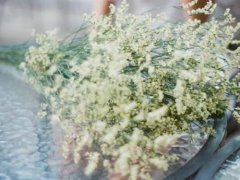 猴年龙凤胎起名用字参考大全！