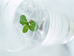 最受欢迎的诗词起名总汇2016