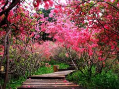 用称谓取名法，如“予”字取名