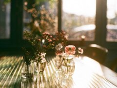 用美称取名，如“农”字取名