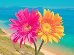 以美德取名，如“恭”字取名