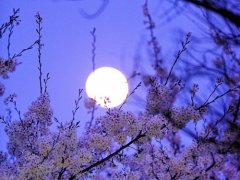 用自然景物取女孩名字