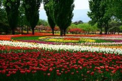 夏天出生的宝宝如何取小名？