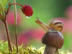 什么样的名字才算是完美？