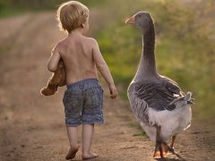 2016猴宝宝取名用“口”、“宀”、“冖”字根的字