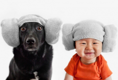 最新出炉的韩姓宝宝名字