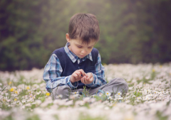 最新出炉的苏姓宝宝名字