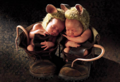 最新出炉的龙姓宝宝名字