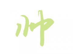 帅姓经典名字大全