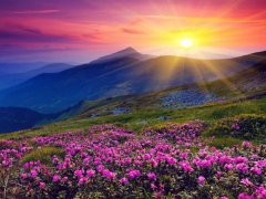 涂姓之人名字大全