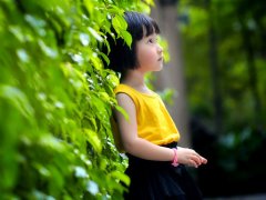 典故取名需要注意的一些事项