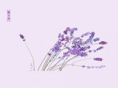 2017年鸡年廖姓宝宝名字大全