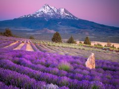 2017年鸡年石姓宝宝名字大全