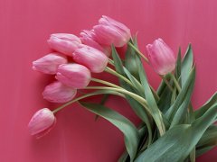 吉祥新颖的宝宝名字大全