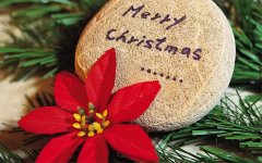 十二生肖里最容易被人误解的五大生肖