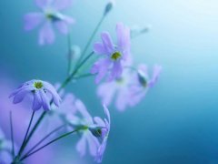 2018狗年宝宝取名注意事项