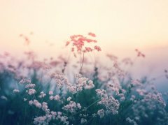 有寓意的阚姓男孩名字大全