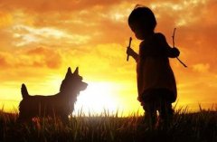 有哪些杜姓男孩的名字