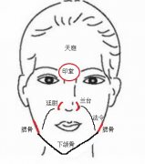 《相学精义》三庭，三不聚面相篇