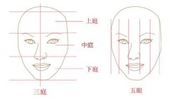 三庭五眼不标准怎么办，可以改变吗？
