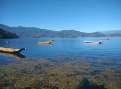 癸亥日乙卯时出生的人，八字命运如何？