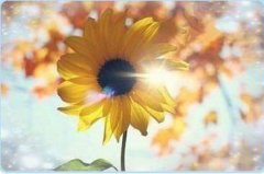 壬戌日甲辰时出生的人，八字命运如何？