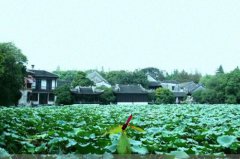 丁巳日丙午时出生的人，八字命运如何？