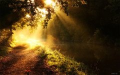 乙卯日丙子时出生的人，八字命运如何？