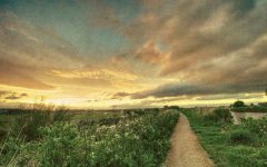 甲寅日甲子时出生的人，八字命运如何？