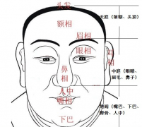 天庭饱满地阁方圆面相好不好