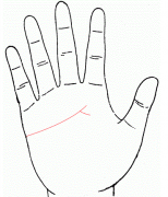 无情义的情人面相怎么看