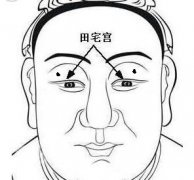 面相恶痣图解：颧骨有痣权利尽失