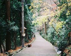 出殡有什么禁忌