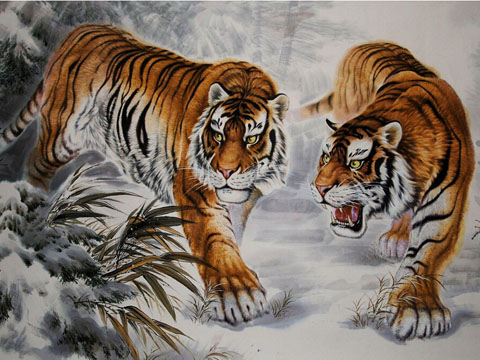 孕妇梦见老虎是什么意思