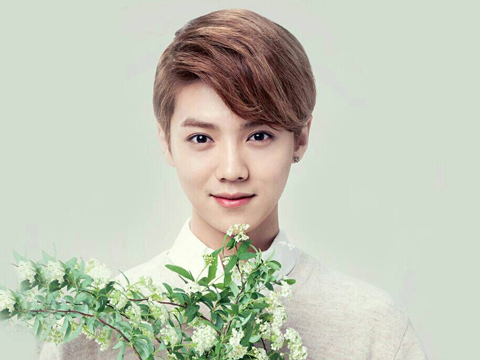 梦见自己喜欢的明星是什么意思 做梦梦到自己喜欢的明星好不好