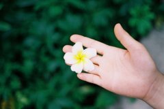  生命线短寿命就短吗，生命线应该怎样看