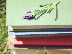 白羊座生日送什么礼物最好