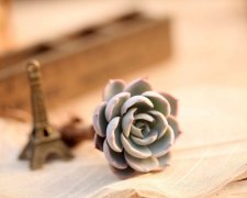 对付天蝎男最好的方法