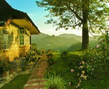 学佛人不能去的三个地方