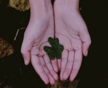 斗和簸箕的说法：不同斗数不同命运