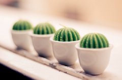 2019年怎么防小人