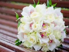 双鱼座的来源和由来