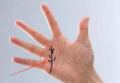 感情线断开代表什么，一定会离婚？