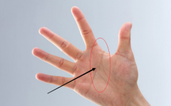 断掌的女人命好吗，会不会克夫