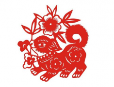 属狗2020年运势及运程 2020年属狗人的全年运势