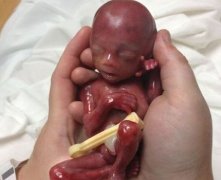 手相图解子女线怎么看子女缘如何