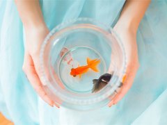 什么样的女生能镇住处女男