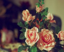 怀男宝最明显的特征