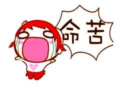 属鸡的命苦十鸡九不全是真的吗