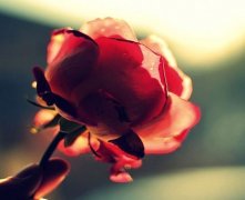 帝王相的人不可算命